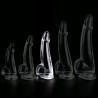 ClearlyHorny Gode transparent Clear Dong L 14 x 4.5cm